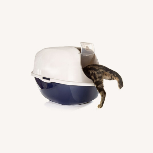 Cat Litter Box